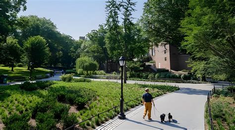 玉合公園咋样？從多維度細數其魅力與特色